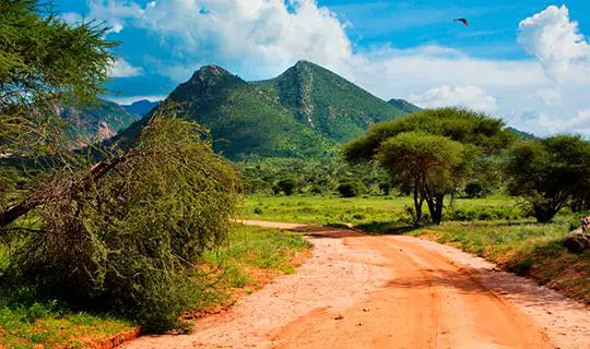 Kenyan landscape