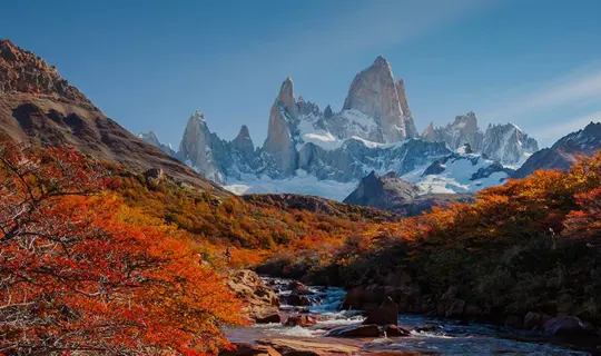 Snowy mountains between autumnal orange trees