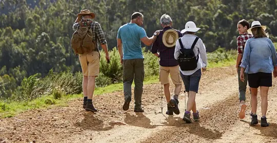 Group on a walking tour