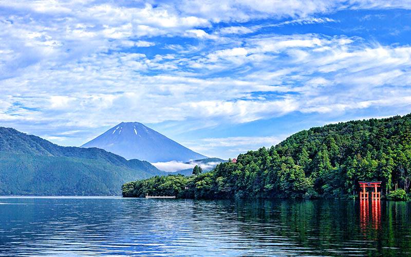 Mount Fuji And Hankone Shrine