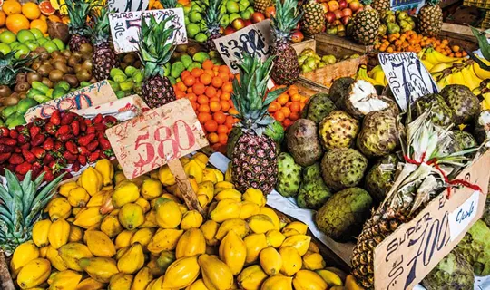 Food Chile Market