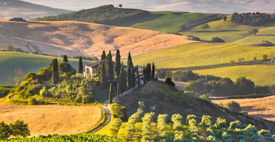 Tuscany fields 