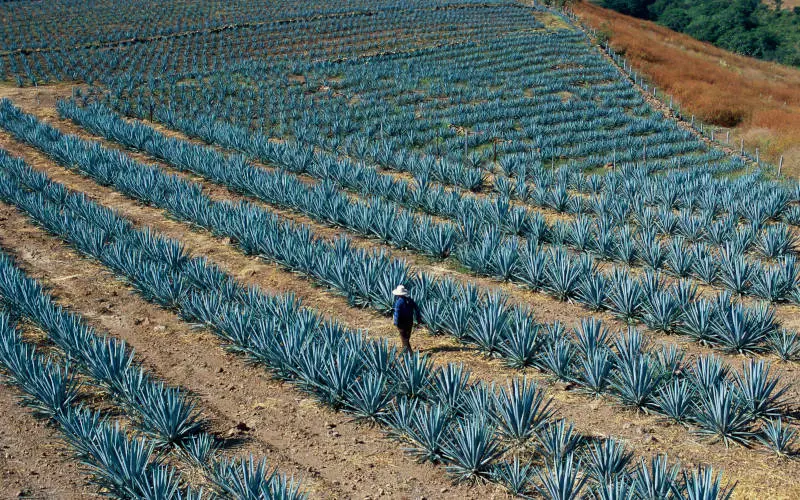 Mexico_18.jpg