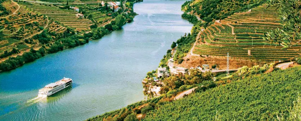 Cruising the Douro Valley