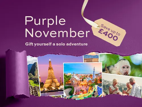 JY Purple November 2025 Homepage Banner Mobile.jpg